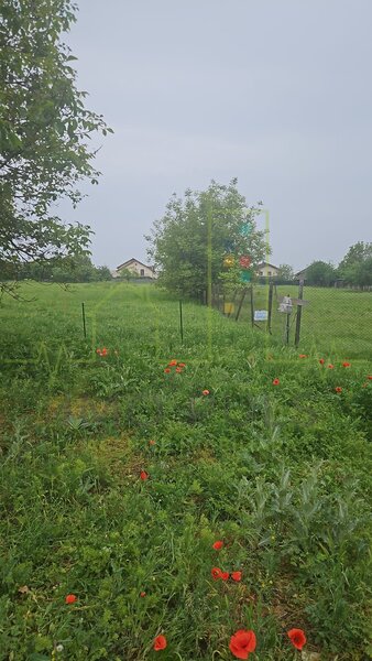Timisoara Aslaft. Urbanism. Torontalului.